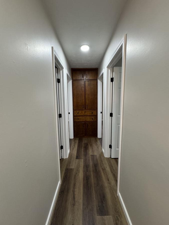 Hallway, new doors and trim